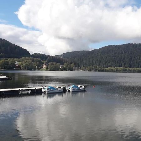 Chalet 3 Etoiles A Gerardmer. Exterior photo