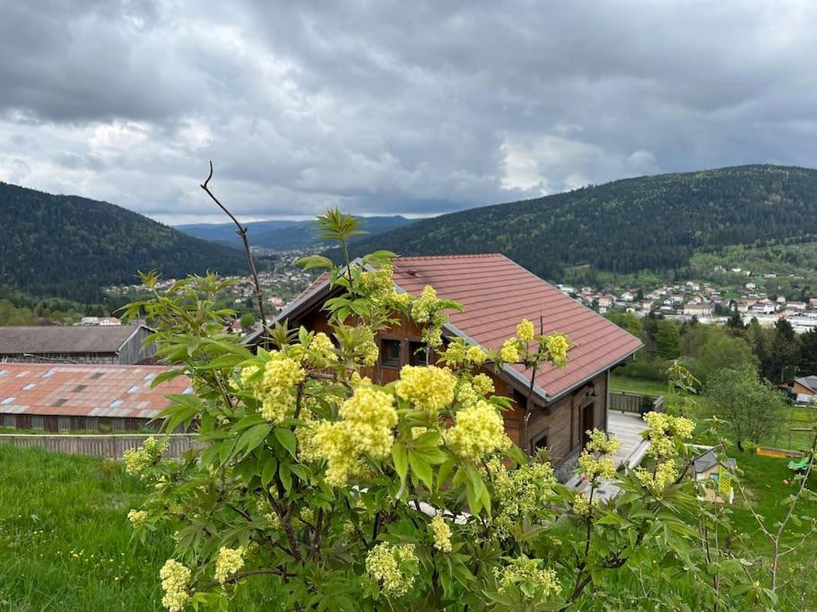 Chalet 3 Etoiles A Gerardmer. Exterior photo