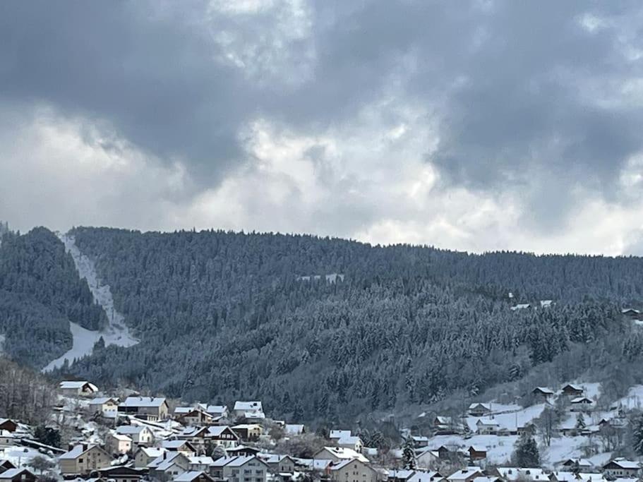 Chalet 3 Etoiles A Gerardmer. Exterior photo