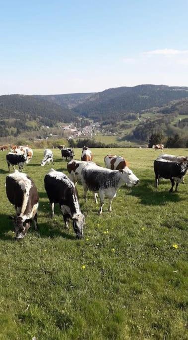 Chalet 3 Etoiles A Gerardmer. Exterior photo