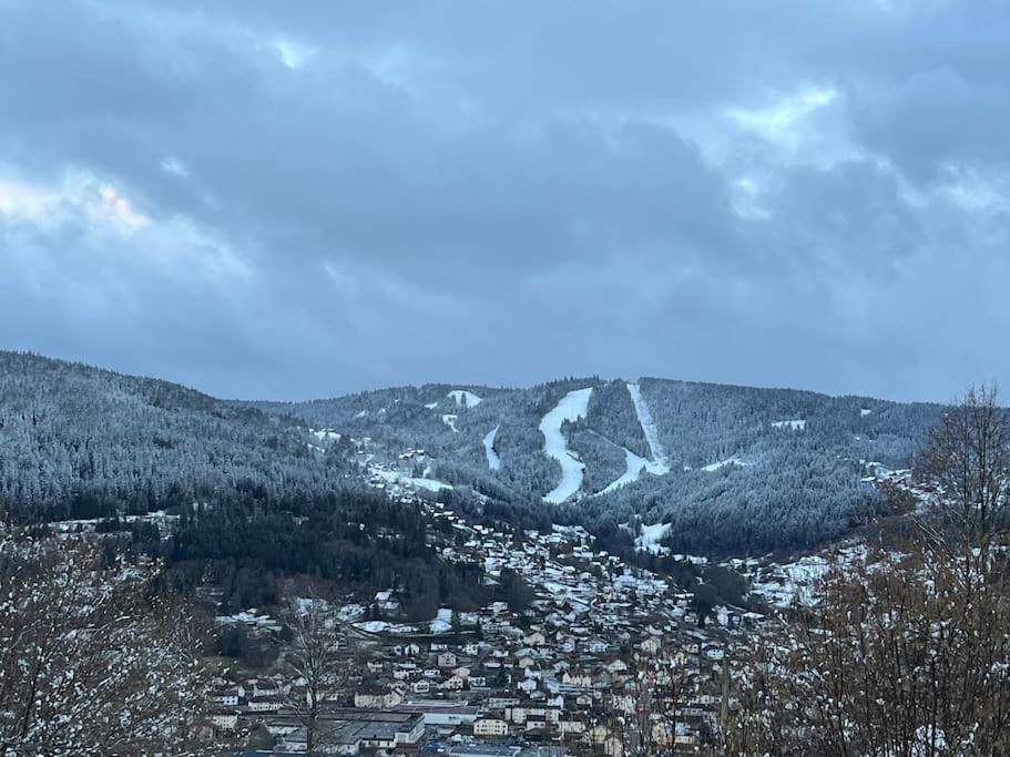 Chalet 3 Etoiles A Gerardmer. Exterior photo