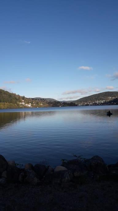 Chalet 3 Etoiles A Gerardmer. Exterior photo